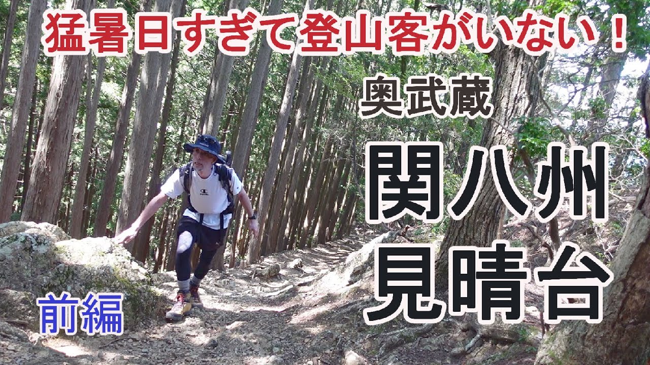 猛暑日すぎて登山客がいない！～奥武蔵　関八州見晴台～前編