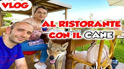 Lui Lei E Il Cane Youtube