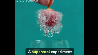 A supercool experiment A Supercool Experiment