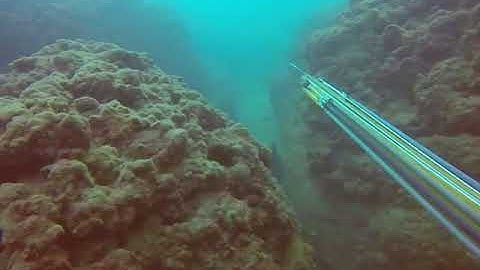 B Daniel Polispast roller Grouper off