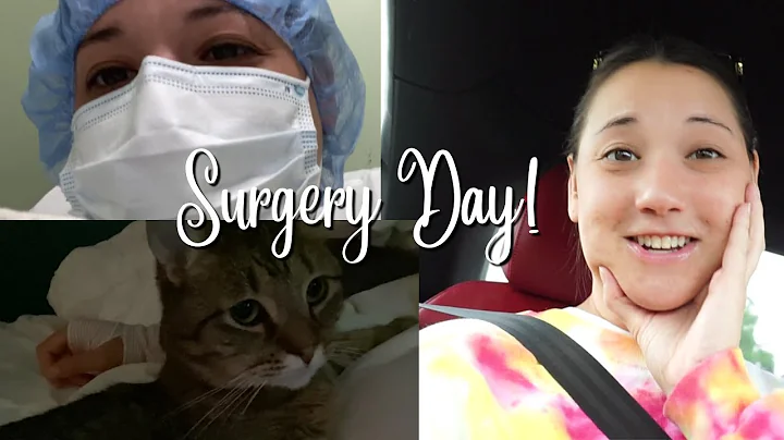 Vlog 12: My carpel tunnel surgery