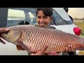 BIG रोहूROHU FISH CATCHING || FLOAT FISHING TECHNIQUES 🎣Rohu fishing bait