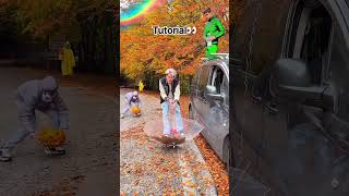 TUTORIAL forest autumn #TREND 👀result😂 #trend#magic #tutorial #backstage #creative#shorts