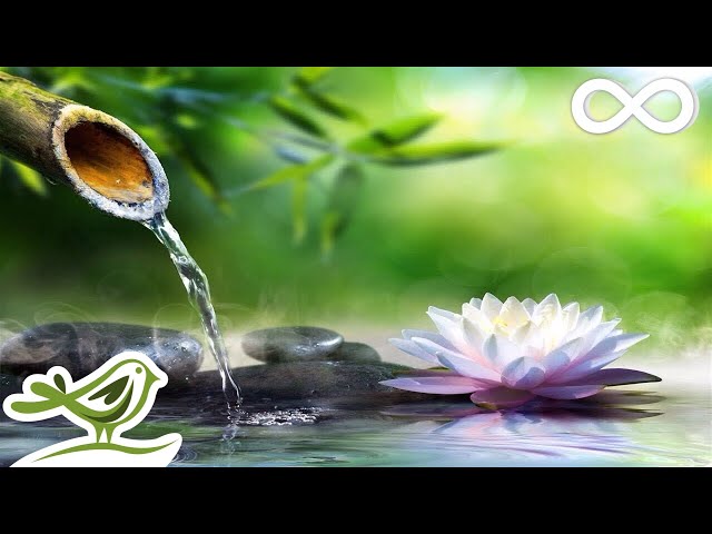 8 Hours of Relaxing Sleep Music • Sleeping Music, Relaxing Music, Fall Asleep Fast class=