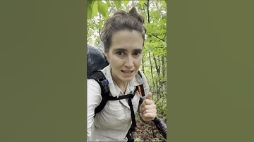 Day 65 of Hiking the Appalachian Trail! (Even though I say 64)