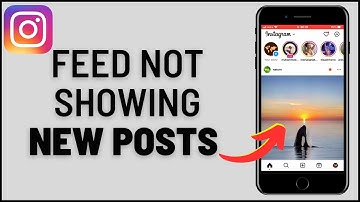 How to Fix Instagram Feed Not Showing Now Posts