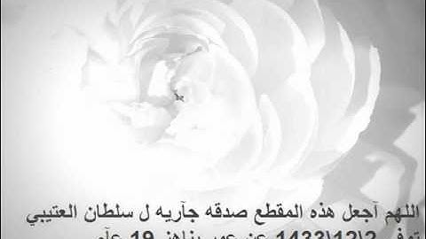 سورة الواقعة بصوت ماهر المعيقلي ابداع وخشوع