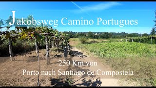 Jakobsweg Camino Portugues