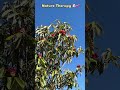 #naturelovers #naturetherapy