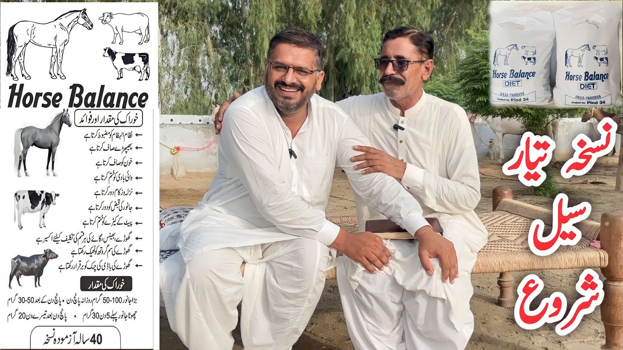 Horse Balanced Diet | Special Feed Masala for Horses | Pind 34 | Cargo All Pakistan