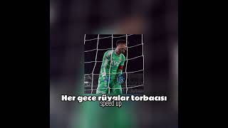 Her Gece Rüyalar Torbacısı (Speed Up) Resimi