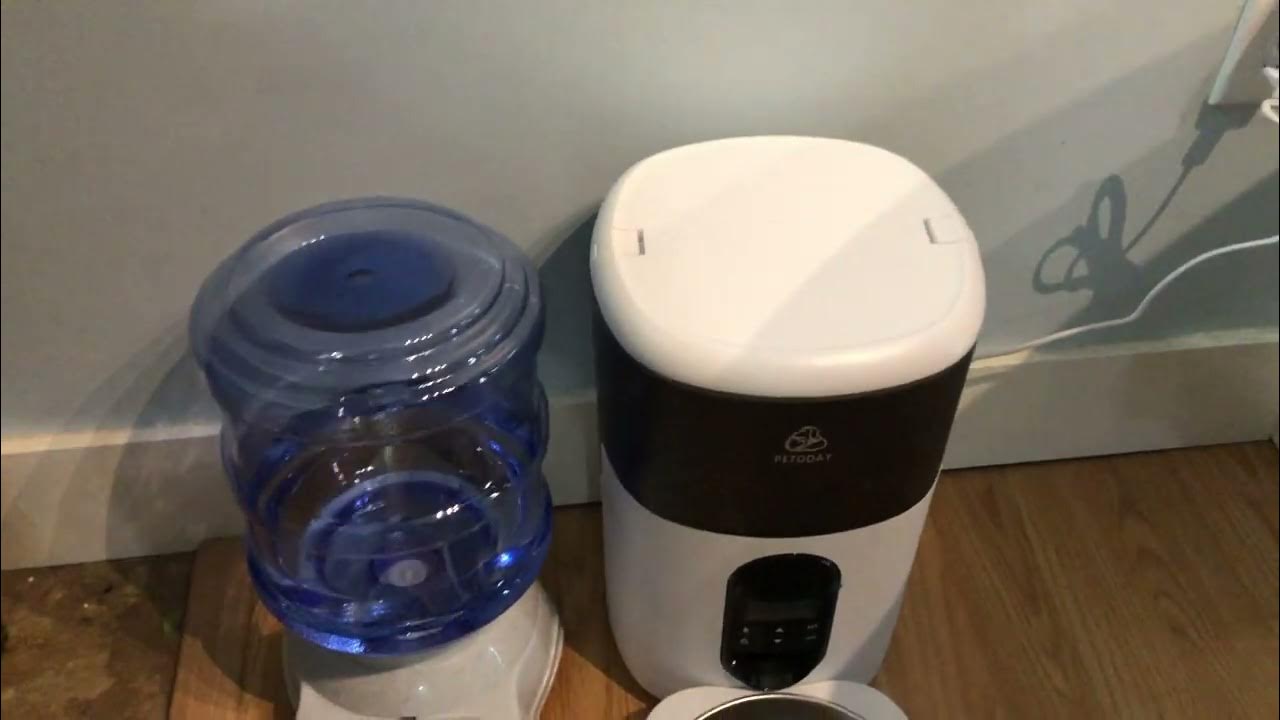 PETODAY AUTOMATIC PET FEEDER REVIEW YouTube