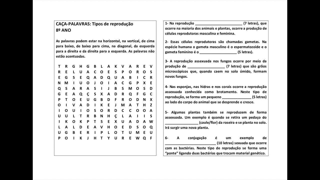 Caça palavras online exercise for NONO ANO