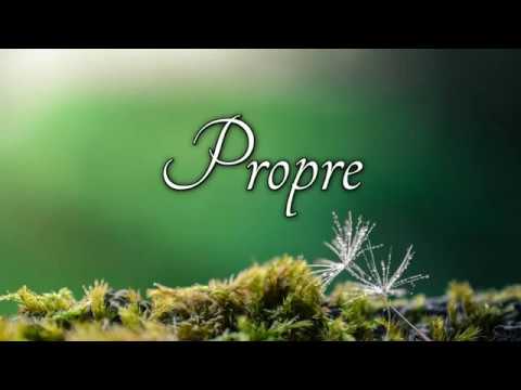 How to pronounce propre in French motorcycles for sale