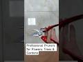 SK5 Steel Pruning Shears | High Quality Garden Tools
