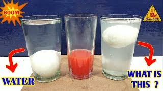 3 AMAZING EGGSPERIMENTS YOU CAN DO AT HOME. SOO COOL🧐🧐🧐🧐🧐🕵🕵😵😵