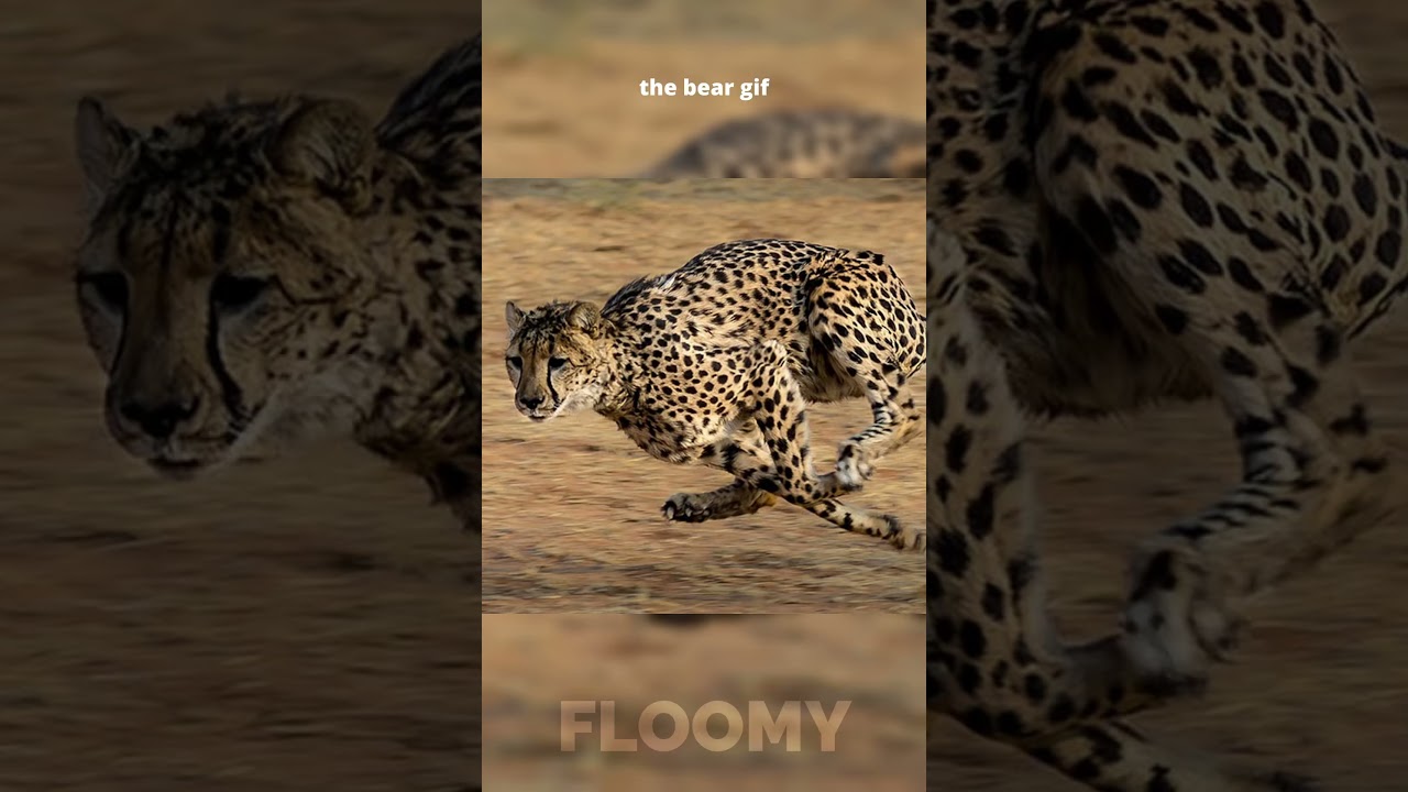 Fastest on the planet