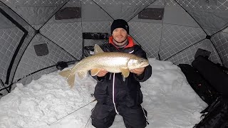 Lake Trout Jigging Bakers Narrows Lodge