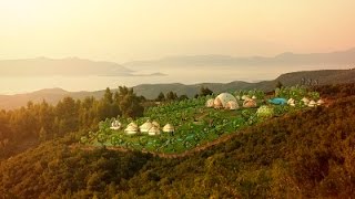 Game Of Domes