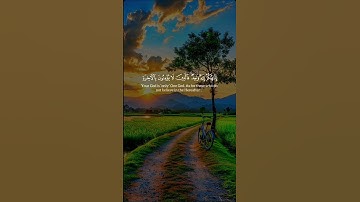 تلاوة خاشعة #القرآن_الكريم #تلاوة #تلاوة_خاشعة #اكسبلور #foryou #قران #reels #راحة_نفسية