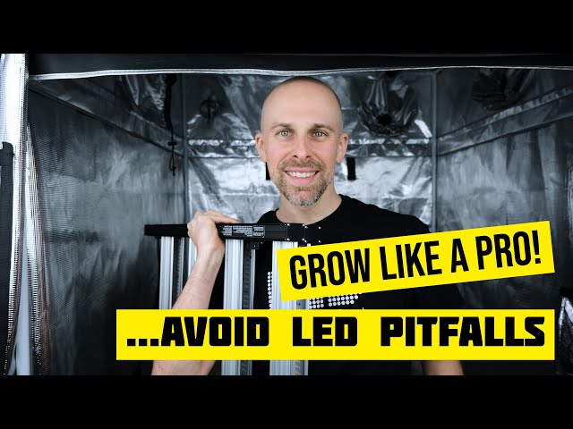 Using LED Grow Lights: 9 Mistakes to Avoid - Darkless LED Lighting Supplier