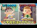 【あつ森アニメ】まじめ小学校とヤンキー小学校*学校生活のちがい【あつまれどうぶつの森】