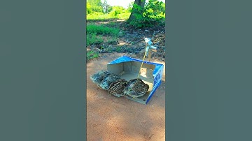 Survival Method New Unique Trap # Amazing Quail Trap #video shorts