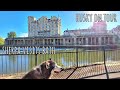 When your Husky goes on Tour, Sherpa visits Bath