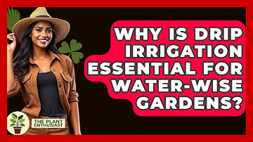 Why Is Drip Irrigation Essential For Water-wise Gardens? - The Plant Enthusiast
