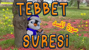 Tebbet suresi okunuşu | Tebbet suresi ezberleme,Tebbet okunuşu ve anlamı | çocuklar için, Didiyom Tv