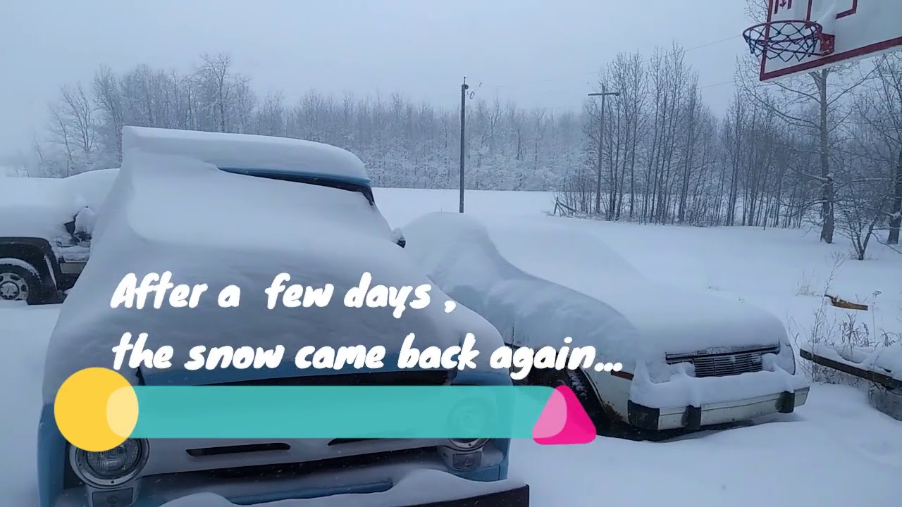 COLDEST MONTH in Winter Season in Alberta Canada "January " YouTube