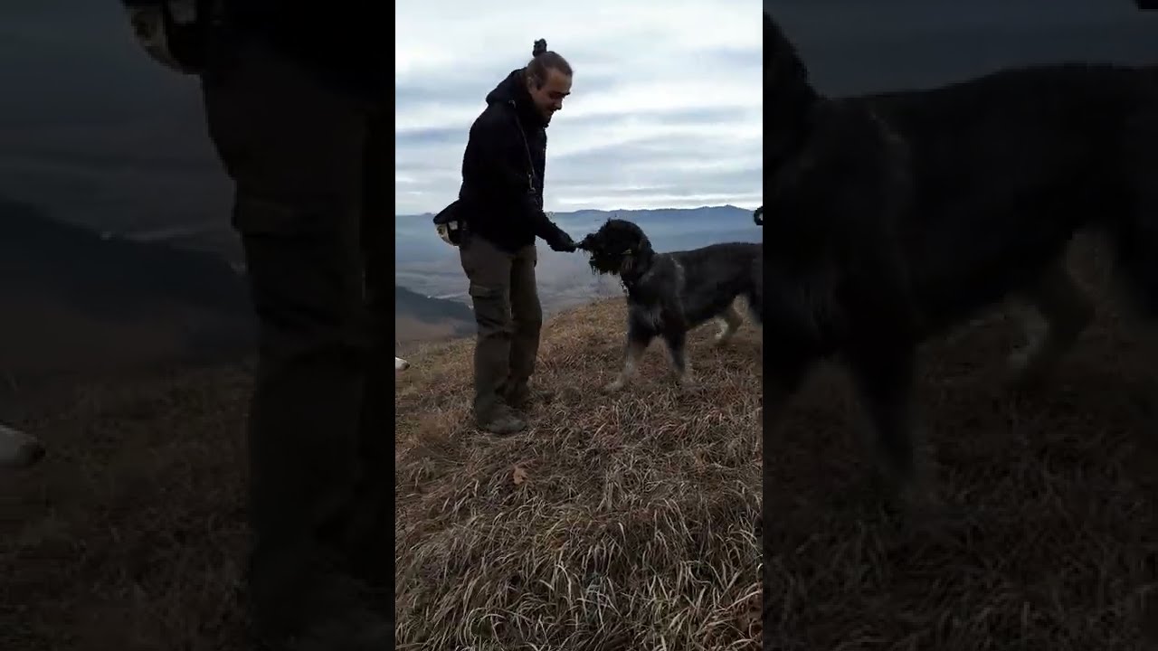 Luke SAR training - search exercise