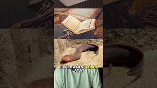 Strange Fish That Can Live for Years on Land #mystery #shorts