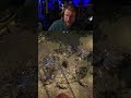 Rabenstab = Bait - Was denkt ihr? PoE 2 #pathofexile | #terence_ auf #Twitch