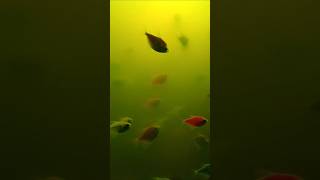Marine World #ocean #fish #marine #waves