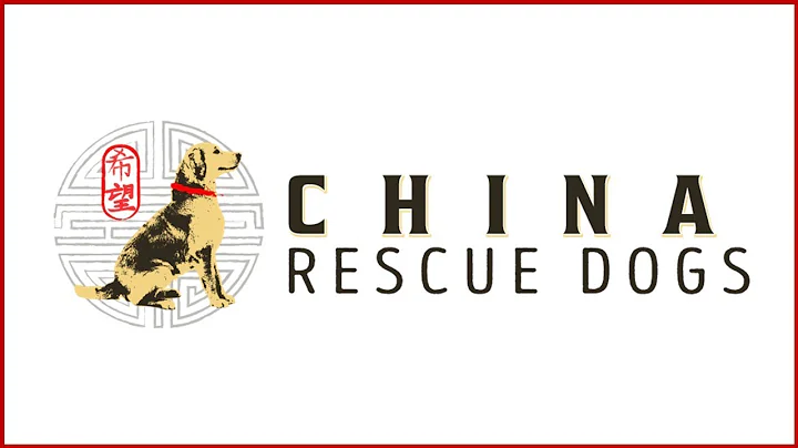 China Rescue Dogs   Jill & Ryan