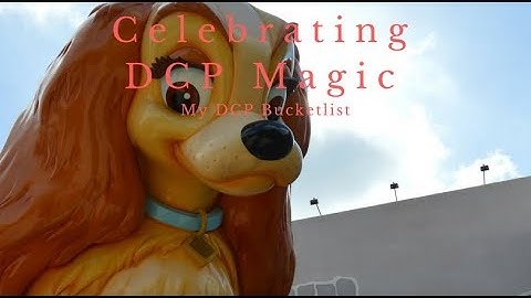 My DCP Bucket List. Spring 2018.