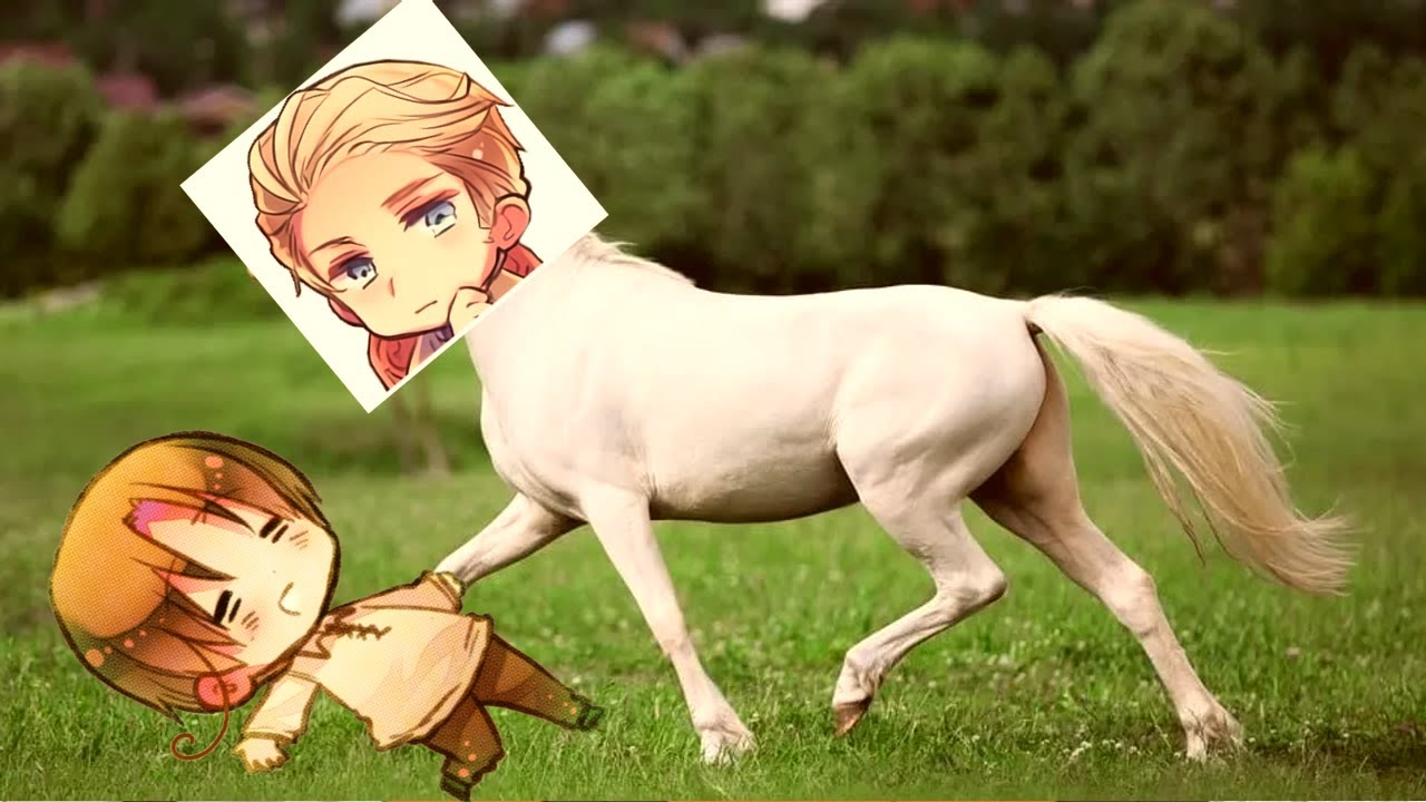 The Problem Shipping GerIta (Hetalia)