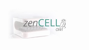 zenCELL owl - The microscope for the incubator | #livecellimaging