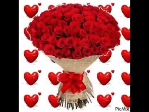 ورود باقة وردجميلة صباح الخير