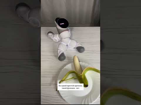 Ответ пользователю -