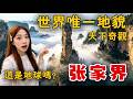 🔥這輩子一定要去一次張家界!❤️4天3夜自由行完整攻略,走進現實版《阿凡達》潘多拉星球,征服天門山999級台階!吃爆土家三下鍋,道地湘菜。趟真的太值了!Hunan丨Zhangjiajie