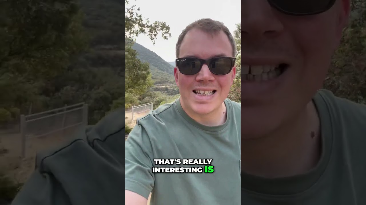 Revolutionizing Biodynamic Wines: My Eye-Opening Experience