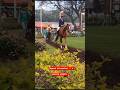 Speed Unleashed 🏇⚡ #HorseRacing #Trending#trendingreels #viral#shorts#trendingreels