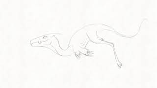 Animation test loop