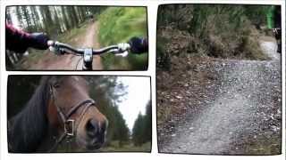 Share the Trail