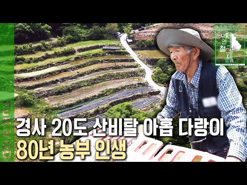 7살 때 지게 지고 시작했다?! 돈이 모이면 한 다랑이씩 사서 늘려온 지리산 비탈 아홉 &amp;#39;다랑논&amp;#39;  80년 농부 인생 이야기 [자연의 철학자들 KBS 20221028 방송]