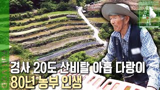 7살 때 지게 지고 시작했다?! 돈이 모이면 한 다랑이씩 사서 늘려온 지리산 비탈 아홉 '다랑논' 80년 농부 인생 이야기 [자연의 철학자들 KBS 20221028 방송]