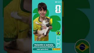 eu e a estrela na copa! #copado mundo #figurinhas #felinos #edit #figurinhadacopa #wordcup2026