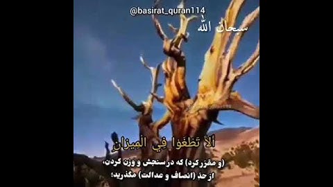ستوريات دينيه /سورة الرحمـٰن /عبد الباسط //حالات واتس آب قرآن / آيات قرانية قصيرة / ستوريات انستقرام